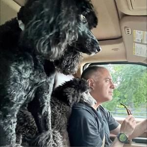 Meet your Posher, Eric